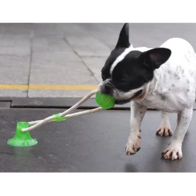 Primal Suction Tug Toy