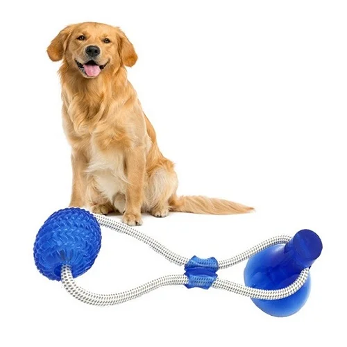 https://www.bravogoods.com/wp-content/uploads/2019/11/Primal-Suction-Tug-Toy.webp