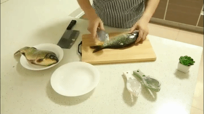 Practical Fish Scale Remover 