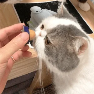 Cat Treat Sugar Ball
