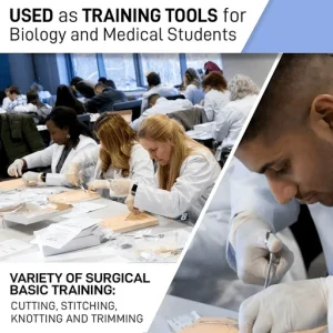 Surgical Suture Training Kit