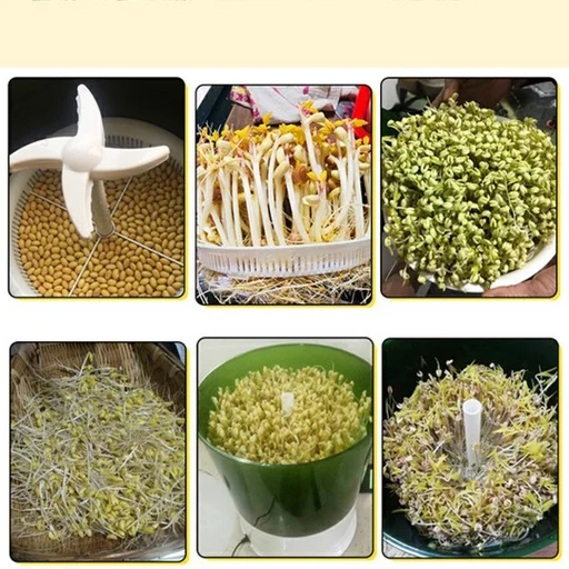 Automatic Seed Sprouter Machine