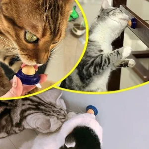 Cat Treat Sugar Ball