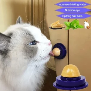 Cat Treat Sugar Ball