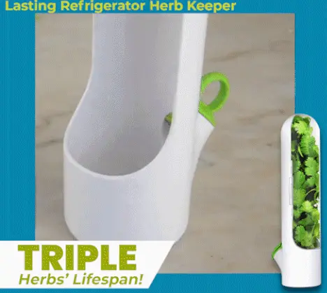 Lasting Refrigerator Herb Keeper