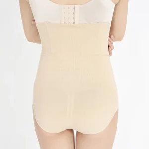 The Dreamy Curve High Waist Panty