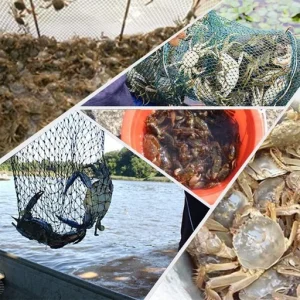 Foldable Umbrella Fishing Net