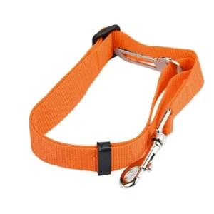 Universal Pet Seatbelt