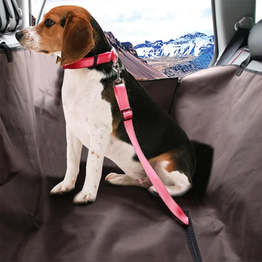 Universal Pet Seatbelt