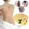 Lymphatic Detox Healing Ginger Patch