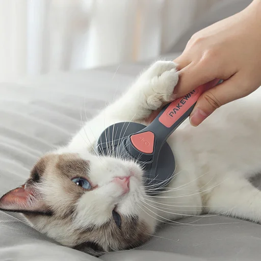 Self-Cleaning Slicker Brush for Dogs and Cats