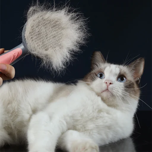 Self-Cleaning Slicker Brush for Dogs and Cats