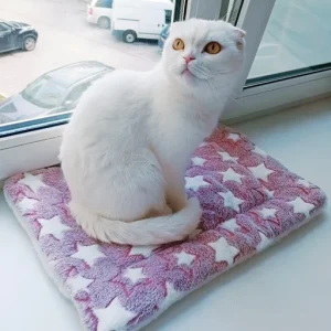 Cozy Calming Dog Cat Blanket