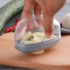 Manual Pressing Garlic Slicer Grater Cutter Masher