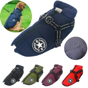 Pet Winter Jacket with Harness