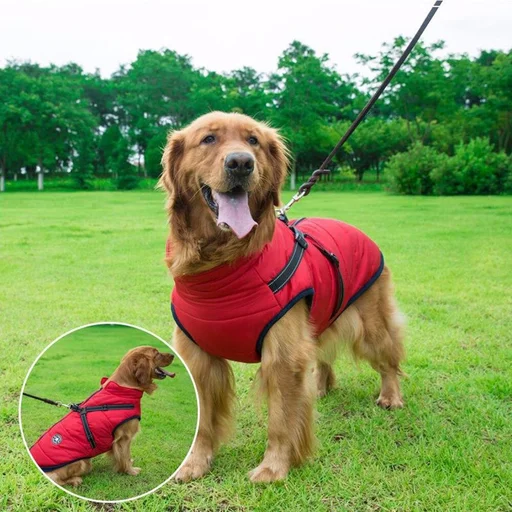 Pet Winter Jacket with Harness