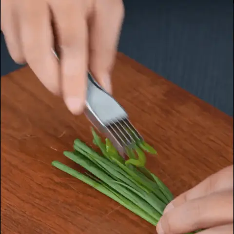 Shred Silk The Knife Vegetable Scallions Cutter Food Speedy Chopper