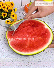 Stainless Steel Watermelon Cutter
