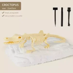 Arrival Dinosaur Fossil Digging Kit