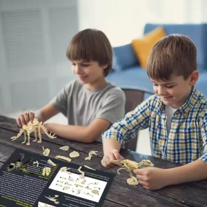 Arrival Dinosaur Fossil Digging Kit