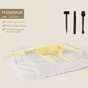 Arrival Dinosaur Fossil Digging Kit