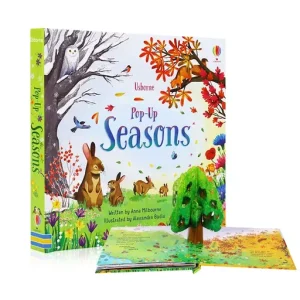 Usborne Pop-Up Fairy Tales 3D Picture Book Cardboard
