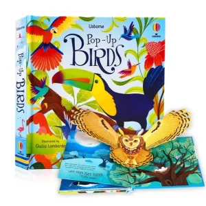Usborne Pop-Up Fairy Tales 3D Picture Book Cardboard