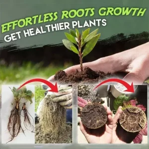 Rapid Rooting Powder