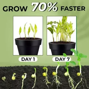 Rapid Rooting Powder