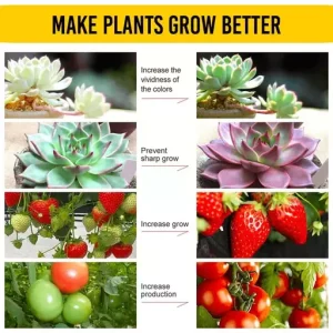 Rapid Rooting Powder