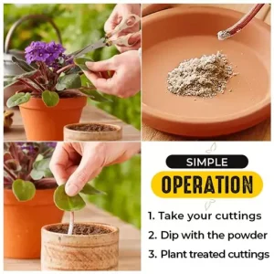 Rapid Rooting Powder