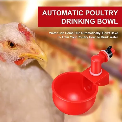 Automatic Chicken Water Cup