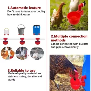 Automatic Chicken Water Cup Waterer Kit for Poultry
