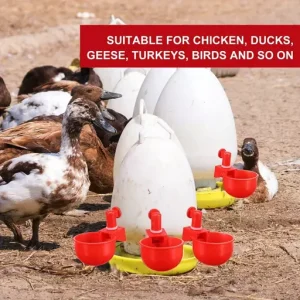 Automatic Chicken Water Cup Waterer Kit for Poultry
