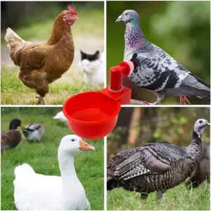 Automatic Chicken Water Cup Waterer Kit for Poultry