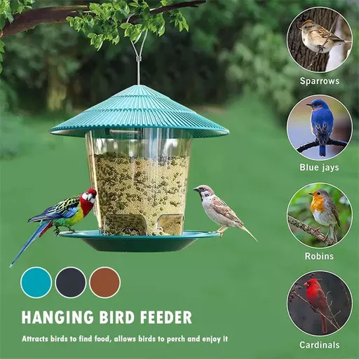Hanging Wild Bird Feeder