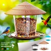 Hanging Wild Bird Feeder