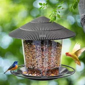 Hanging Wild Bird Feeder