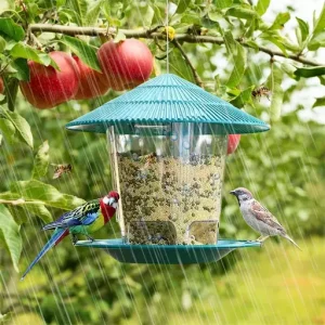 Hanging Wild Bird Feeder