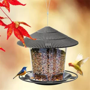 Hanging Wild Bird Feeder