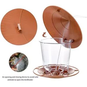 Hanging Wild Bird Feeder