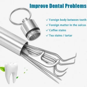 Stainless Steel Toothpick Set