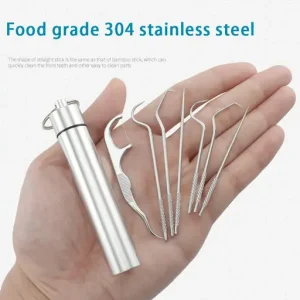 Stainless Steel Toothpick Set