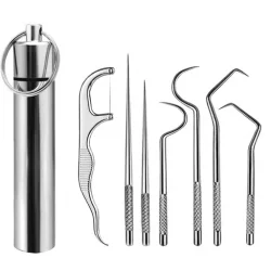 Stainless Steel Toothpick Set