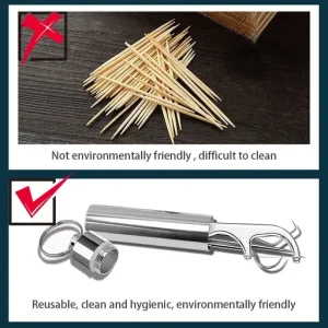 Stainless Steel Toothpick Set