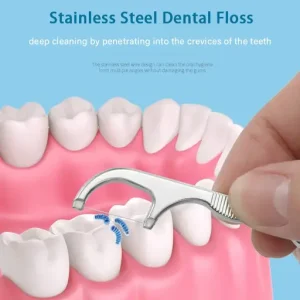 Stainless Steel Toothpick Set