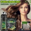 Natural 10 Mins Herbal Hair Darkening Shampoo