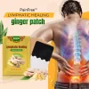 PainFree Lymphatic Healing Ginger Patch