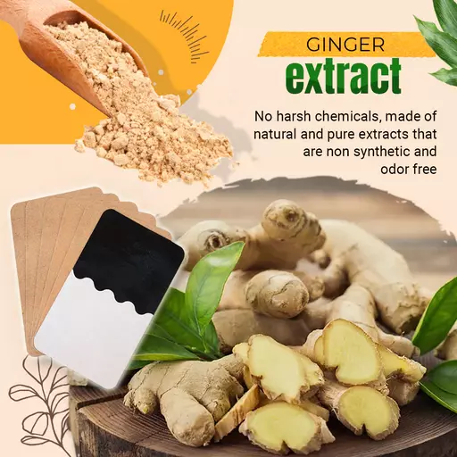 PainFree Lymphatic Healing Ginger Patch