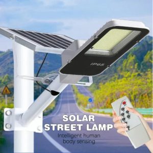 Heavy-Duty Outdoor Solar Security Waterproof Light